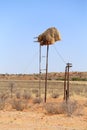 Big birds nest in electricity pole Royalty Free Stock Photo