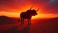 A big black bull with covered horns Royalty Free Stock Photo