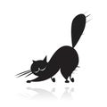 Big black cat silhouette Royalty Free Stock Photo