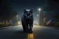 Big black cat walking on road in dark night Royalty Free Stock Photo