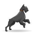 Big black dog of breed rizenschnauzer. Vector