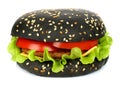 Big black hamburger on white background