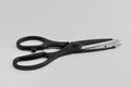 Big black handle scissors