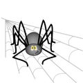 Big black smiling spider sitting on a cobweb in the corner, on an isolated background