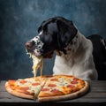 Big black and white dog eating pizza. Dark background. Generative AI content.