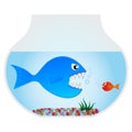 Big blue fish Royalty Free Stock Photo
