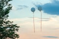 Big blue helium baloons with orange ribbons in blue cloudy sunset sky near the tree.