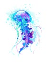 Big blue jellyfish on white background