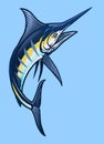 Big blue marlin fish