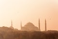 The Big Blue Mosque in Istanbul Turkey in the morning light