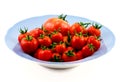 Big blue plate with red tomatoes isolated Royalty Free Stock Photo
