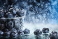 Big blueberries in a plastic box closeup under the water drops in a dark blue background. Healthy lifestyle. Summer diet. Royalty Free Stock Photo