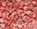 Big boiled shrimps close up