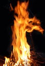 Big bonfire flame Royalty Free Stock Photo