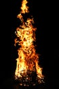 Big bonfire flame. Royalty Free Stock Photo