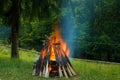 Big bonfire in the forest Royalty Free Stock Photo