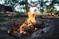 Big bonfire in the forest, camping Royalty Free Stock Photo