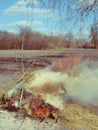 Big bonfire in the open air. A pile of ash from burnt boards and branches. Hot flame Royalty Free Stock Photo