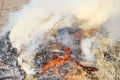 Big bonfire in the open air. A pile of ash from burnt boards and branches. Hot flame Royalty Free Stock Photo