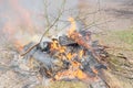 Big bonfire in the open air. A pile of ash from burnt boards and branches. Hot flame Royalty Free Stock Photo