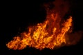 Big bonfire with smoke. Flames of a campfire in the night Royalty Free Stock Photo