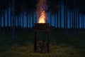 Big bonfire with sparks in a rusty fire bowl. In front of pine trees and starry sky