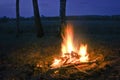 Big bonfire in the spring birch forest Royalty Free Stock Photo