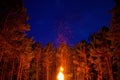 Big bonfire in summer in the forest Royalty Free Stock Photo