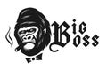 Big boss. Angry gorilla with a cigar. Vector illustration.