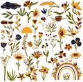 Big Botanical set of wildflowers, garden plants, branches, herbs, decorative leaves and rainbow. Bright wild meadow