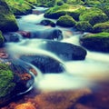 Big boulders covered by fresh green moss in foamy water of mountain river. Light blurred cold water with reflections, white