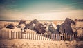 Big boulders and a picket fence along the beach in Ocean Grove, NJ, on a sunny winter day Royalty Free Stock Photo