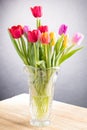 a big bouquet of tulips of various colours in crystal vase Royalty Free Stock Photo