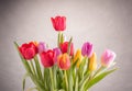 a big bouquet of tulips of various colours in crystal vase Royalty Free Stock Photo