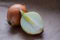 Big bow and half onion on beige paper background