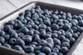 big box with scattered fresh blueberries, fresh raw food, natural healthy food Royalty Free Stock Photo