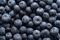 big box with scattered fresh blueberries, fresh raw food, natural healthy food Royalty Free Stock Photo