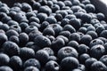 big box with scattered fresh blueberries, fresh raw food, natural healthy food Royalty Free Stock Photo