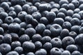 big box with scattered fresh blueberries, fresh raw food, natural healthy food Royalty Free Stock Photo