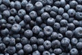 big box with scattered fresh blueberries, fresh raw food, natural healthy food Royalty Free Stock Photo