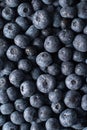 big box with scattered fresh blueberries, fresh raw food, natural healthy food Royalty Free Stock Photo