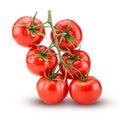 Big branch of fresh red tomato with green leaves with water drop Royalty Free Stock Photo
