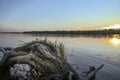 Big branched snag on the river bank Royalty Free Stock Photo