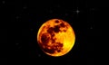 Big Bright Colourful Orange Yellow Full Moon On Clear Dark Black Starry Sky.