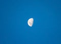 Big bright moon waxing gibbous Royalty Free Stock Photo