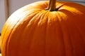 Big bright orange pumpkin Royalty Free Stock Photo