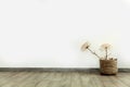 Big bright room, white walls, rustic parquet and vase witg dry branches. rustic minimalism. place for text