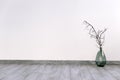 Big bright room, white walls, rustic parquet and vase witg dry branches. rustic minimalism. place for text