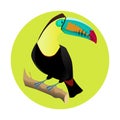 Big bright toucan. Tropical bird. Vector illustration.