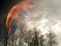 Big bright yellow burning planet on cloudy black sky appearing behind forest silhouettes and grey clouds.